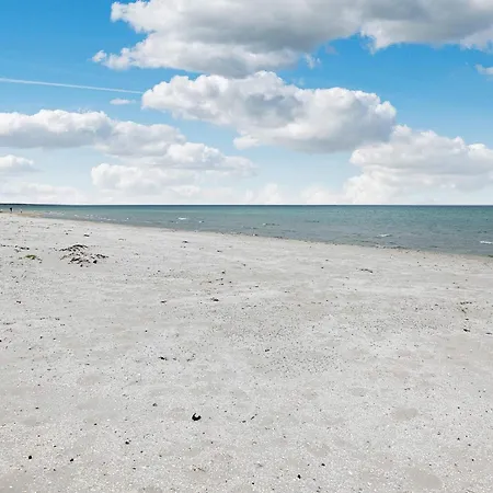 Feriehus 5 Star In Ålbæk